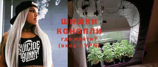 шишки Армянск