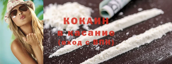 шишки Армянск