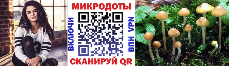 Галлюциногенные грибы прущие грибы  Кимры 