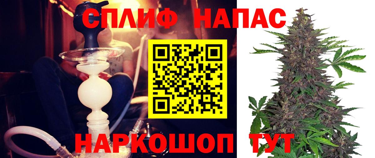 Бошки марихуана сатива  Марихуана Bruce Banner  Кимры  Вход с VPN 